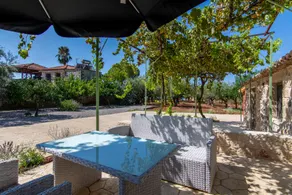 olive grove by the sea 30m from the beach - Image 5