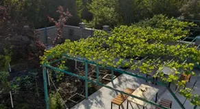 Golden House - Image 3