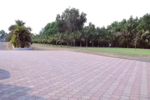 Kings Resort - Image 5