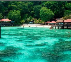 Live on sea water - Image 4