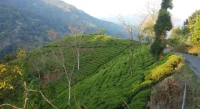 Poomong Homestay - Image 2