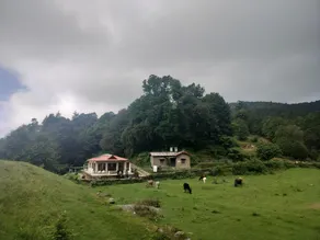 Simba Jungle Lodge, Binsar Wildlife Sanctuary - Image 5