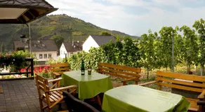 Ferienweingut Hirschen Schulstraße - Image 5