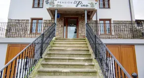 El Pino - Image 4
