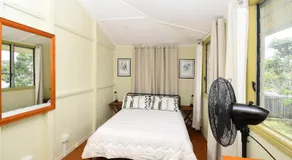 Torquay Treasure - Image 2