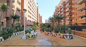 Apartamentos Coral - Marfil Marina Dor 3000 - Image 2
