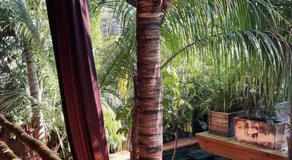 Casa Frutas y Verduras - Image 5