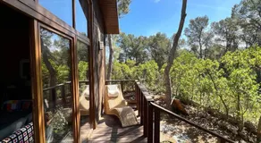Landscape Casa de Madera - Image 4
