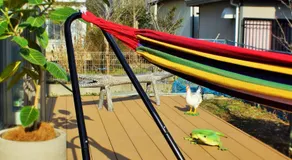 BALLAD HOUSE / Vacation STAY 31548 - Image 1