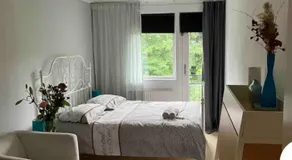 Charming Rooms with free parking - Image 2