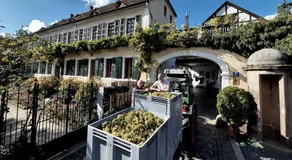 Unterkunft im Weingut Fitz-Ritter - Image 4