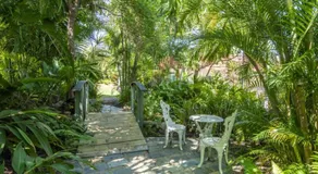 AFFORDABLE ISLAND ESCAPE! Queen Studio, Nelly Bay - Image 3