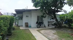 Gia's Garage & Home for Bocas travelers - Image 4