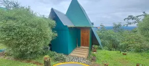 Fly Green Resort - Image 4
