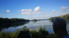 Pinienblick - Image 5