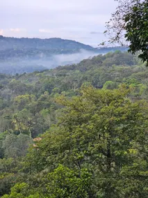Valley Homestay munnar - Image 5
