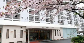 Hotel Kirishima Castle - Image 5