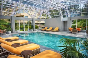 Snow Valley Resorts & Spa Manali - Image 3