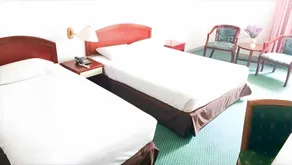 Hotel Seri Malaysia Johor Bahru - Image 2