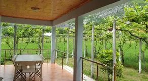 Bujtina Turkaj - Image 2