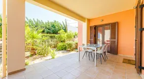 Bougainvillea - Image 4