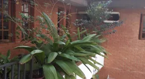 Casa Nova - Image 3