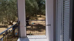 Ilektras Haus - Image 3