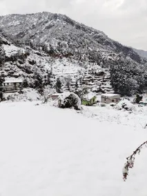Pindari Homestay - Image 4