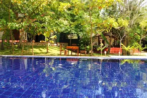 Peacock Land - Image 3