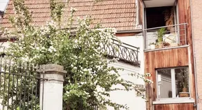Smiling Fox Room - Image 2