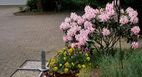 Villa Kükenkamp - Image 5