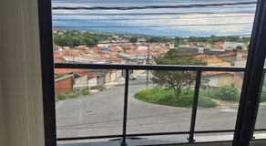 Lírio-da-paz - Image 2