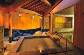 Echigo Yuzawa Onsen Sakura Tei Ryokan - Image 2