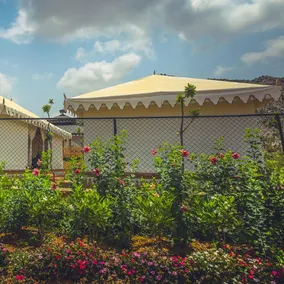 Serene Aravali Resort - Image 3