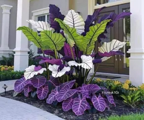 Hoàng Nam Motel Bình Dương - Image 2