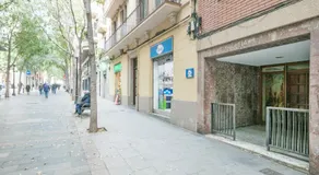 Alcam Rogent - Image 4