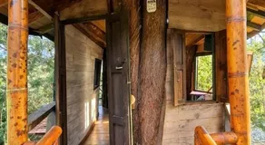 Casa en el Arbol - Cerca Metrocable ARVI - Camping - Image 3