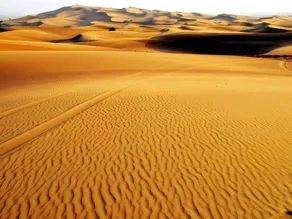 Bedouin Oasis Camp - Image 4