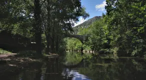 La Cigale - Image 4