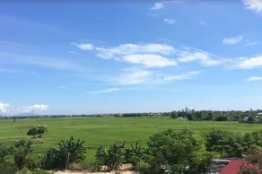 Green Grass Land Villa - Image 2