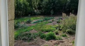 Chambres d'hôtes pleine nature - Image 3