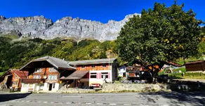 Gadmen Alpenrose, Switzerland - Image 4