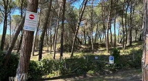 Affittacamere I Gigli di Mare - Image 5