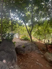 Pet friendly private pool villa near bangalore - Image 3