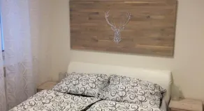 Apartmán Brno Jelenice - Image 2