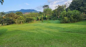 Finca de descanso - Combia, Pereira - Image 5