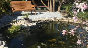 Spurwing Guest House - Image 2