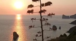 I tramonti di Barbusi - Image 2
