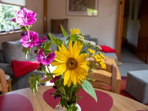 Casa vacanze, Suhlendorf - Image 1