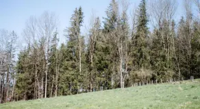 Ferienwohnung im Allgäu für Gruppen bis 12 Personen - ALIMA der Hof - Image 5